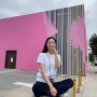 [미국 LA 4박 5일 여행 ] 5일차 - 웨스트 할리우드 폴스미스 핑크 벽 | 베벌리 힐스 | 산타 모니카