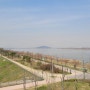 김포 한강 야생조류생태공원