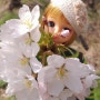 [리카] 봄날2 🌸🌸