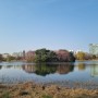 일산 호수 공원의 봄 풍경