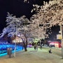 대전 벚꽃축제 명소 계룡산 즐기기 · 풀빌라 펜션 포레스트스테이