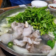 종각 광화문 봄철 보양식 신선한 쭈꾸미 샤브 맛집 (해신-해물신의한수)