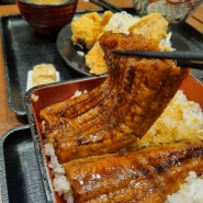 일본 오사카 도톤보리 규동 맛집 요시노야(장어덮밥과 어린이 카레)