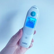 아기 체온계:브라운 귀적외선 체온계 6030 후기