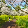 따뜻한 봄을 물씬 느끼는 제주 봄 여행 수학여행 명소 한림공원!