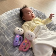 국민육아템 50일 아기 장난감 튤립 사운드북 분홍 퍼플 아기가 좋아해요