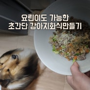 초간단 저칼로리 강아지화식만들기 너무쉬어요^^