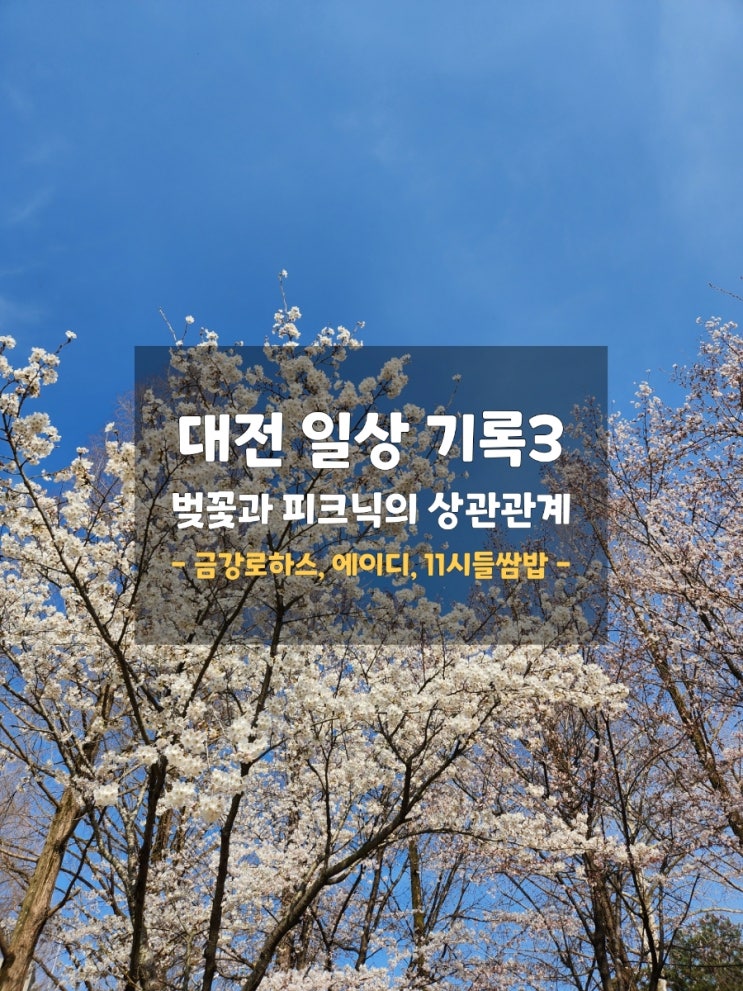 피크닉하기(금강로하스대청공원, 에이디카페, 11시들쌈밥)