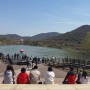 인천대공원 잔잔하고 고요하게 시작되는 봄