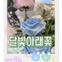 푸른 꽃다발 둔산동 꽃집 달빛아래꽃