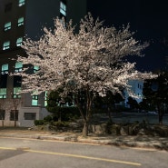 [24.04.일상] 4월의 시작, 블린이의 시작, 그리고 다짐...헤헷