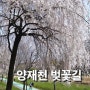 서울가볼만한곳 벚꽃 인기명소 양재천 벚꽃등축제 양재아트살롱
