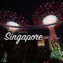 싱가포르 가볼만한곳 투어비스 야경투어 자유여행 추천