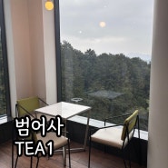 마운틴뷰가 있는 부산 범어사 대형카페 티원 TEA1