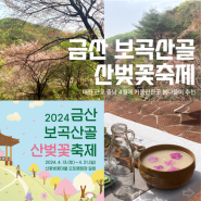 대전 근교 충남 4월에 가볼만한곳 봄나들이 추천 금산 보곡산골 산벚꽃축제 (축제기간 변경!)