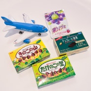 일본 돈키호테 과자추천 메이지 초코과자 일본여행 선물로 딱