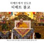 티베트에서 인도로, 티베트 불교