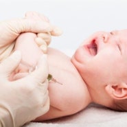 일본뇌염모기 비상…영·유아 예방접종 서둘러야