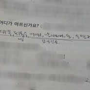 상세 불명의 통증 으로 괴로워하는 어느 젊은여자환자의 이야기