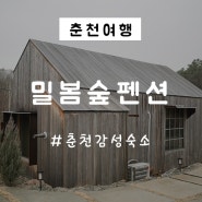 춘천 감성 숙소 밀봄숲 독채 펜션 숙박 후기
