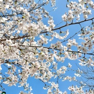 산전출산휴가, 퇴직 그리고 친정살이