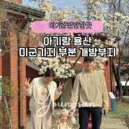 서울 아기랑갈만한곳 아기랑 용산공원 부분개방부지 목련사진찍으러 다녀왔어요 4월 첫째주