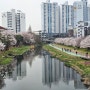울산 남구 여천천 벚꽃 산책