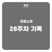 [크로스핏] 28주차, 케틀벨스윙 16kg 증량 성공 🧡