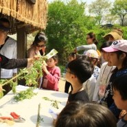 ''한강에서 올챙이도 보고, 벚꽃 즐겨볼까?''… 봄맞이 무료 생태체험 운영