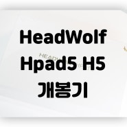 Headwolf Hpad5 H5 개봉기