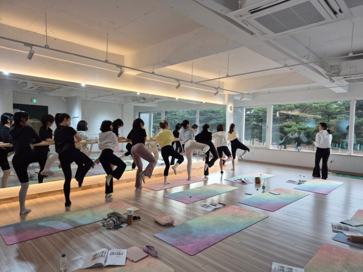 바레지도자과정 바레자격증은 마이바레 드디어 1기 시작 : 네이버 블로그