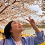 주말에 다녀온 동촌유원지+ 수성못 벚꽃 구경