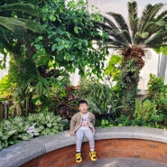 부산 어린이창의교육관③ 식물원 식충식물 곤충 체험관
