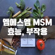 엠에스엠 MSM 효능, 부작용, 추천제품