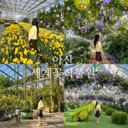 아산 세계 꽃 식물원, 무료 화분 받을 수 있는 수목원 온실 데이트