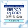 정량 PCR(q-PCR) 이론 및 실습-기초과정 4.16(1일)