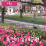 옥연지 송해공원 벚꽃 | 송해공원튤립 | 주차장정보 | 대구 벚꽃축제 | 대구여행 코스 | 대구데이트코스