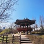화창한 날엔 판교 화랑공원 산책
