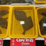 주문진 어민 수산시장 이시가리 자연산 활어전문 홍길동 너무 맛있음