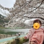 광양 서천 벚꽃 블라썸축제 아이와 함께 프리마켓 구경