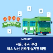 시내버스 숫자는 어떤 규칙으로 이루어져 있을까? 서울, 대구, 부산 버스 노선 번호에 숨겨진 비밀