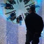 서울대공원, 국내 최대 체험형 미디어파크 ‘원더파크’ 29일 개장