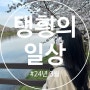 [3.1-3.31] 30대 첫 생일 + 유튜브 데뷔 ㅋㅋ