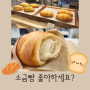 소금빵 맛집!! 가온77 대구 성서 이곡동 한샘타운 동네 카페 추천