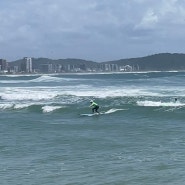 [하고옴] 골드코스트 커럼빈앨리 서핑 추천 - Currumbin Alley Surf School