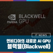 엔비디아의 새로운 AI GPU 플랫폼. 블랙웰(Blackwell)