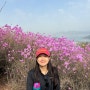 [여수] 벚꽃놀이 말고 진달래놀이 하고 싶은 싸람? - (1) 영취산 진달래 축제
