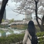 4월 시작하는 일상 : 벚꽃 사진이 반 이상