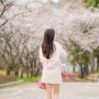 광주 벚꽃 명소🌸 광주패밀리랜드, 운천저수지 데이트 추천!