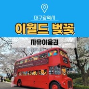 대구 이월드 벚꽃 아이랑 야경까지 자유이용권 할인 정보